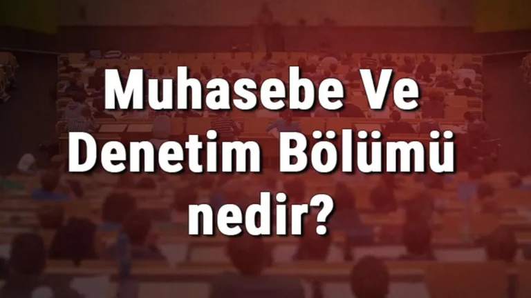 Muhasebe ve Denetim Bölümü Nedir? Mezunları Ne İş Yapar?